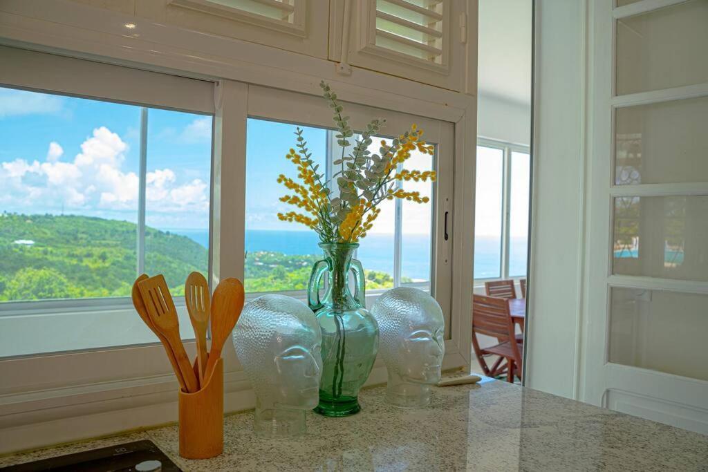 Вилла Domaine Des Tourterelles Capesterre Экстерьер фото