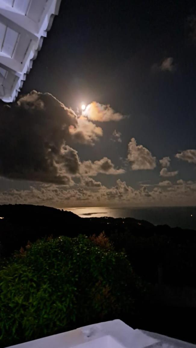 Вилла Domaine Des Tourterelles Capesterre Экстерьер фото